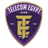 Logo Telekom Egypt